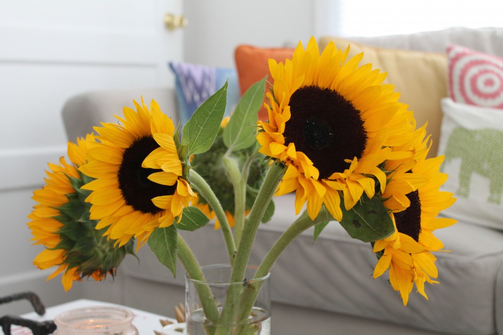 Sunflowers-Summer-2