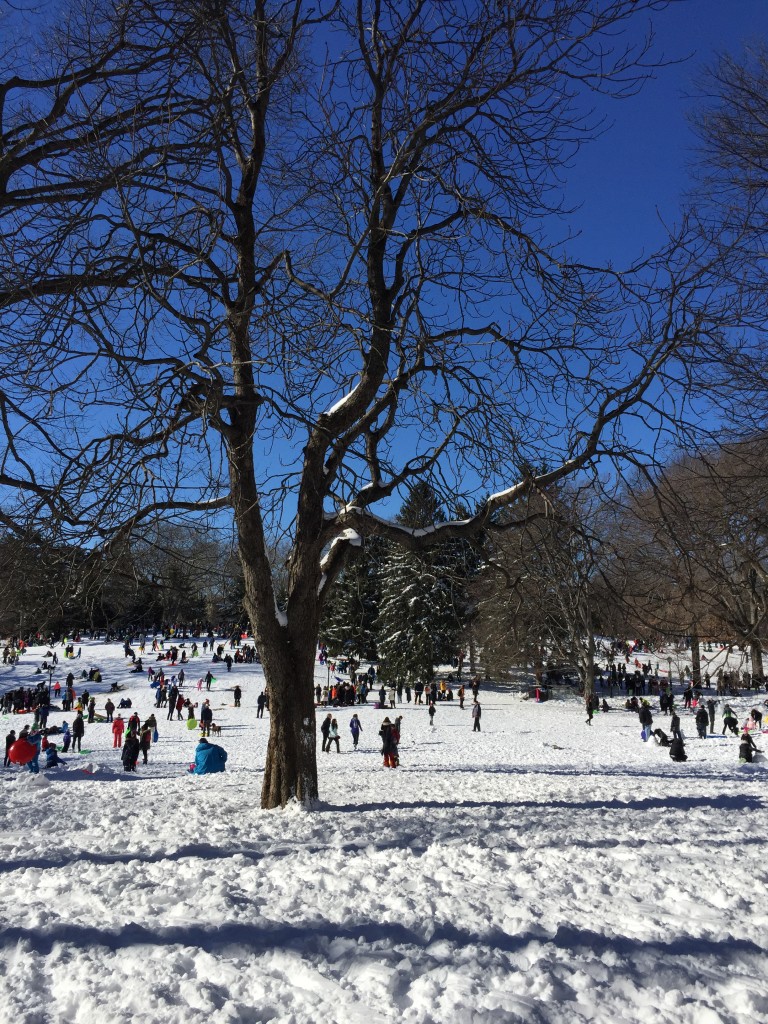 NYC-Blizzard-6