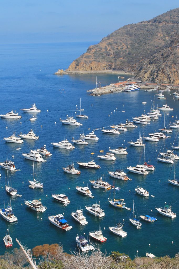 Catalina-1