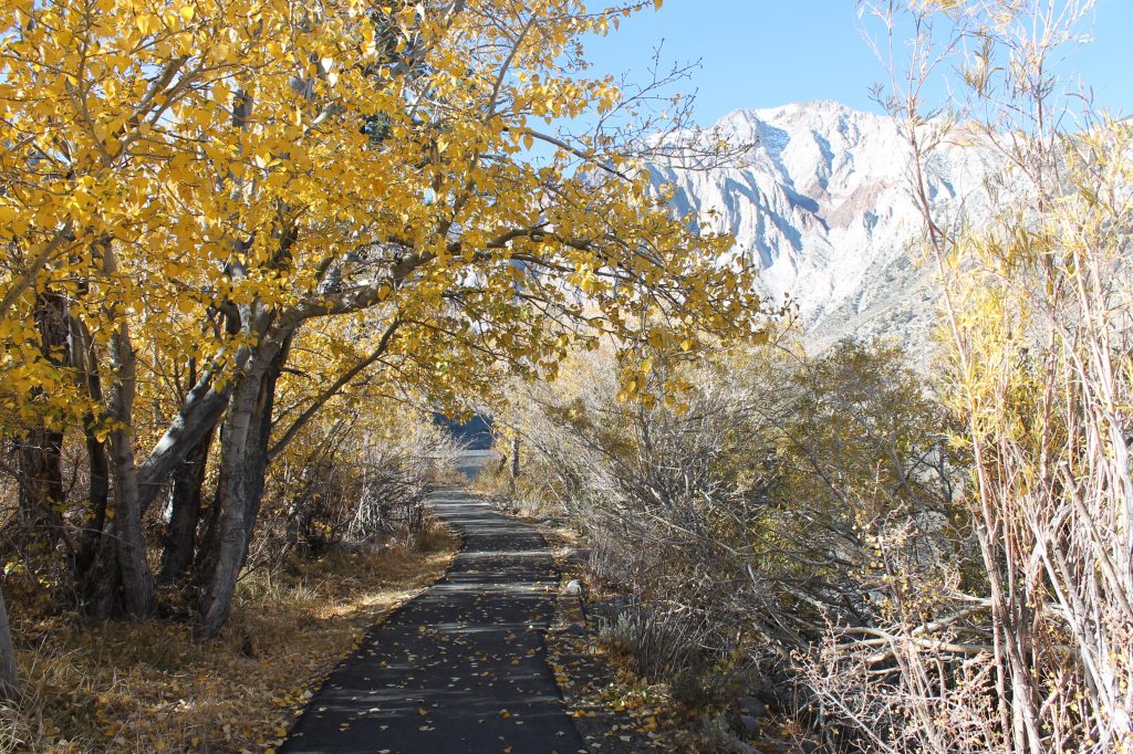 convict-lake-3